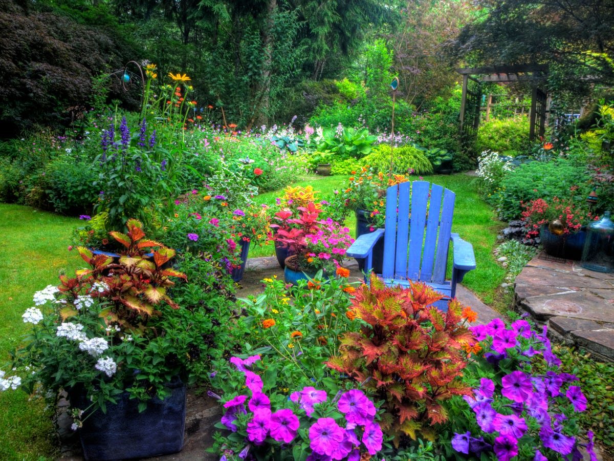 Colourful seasonal flower planting