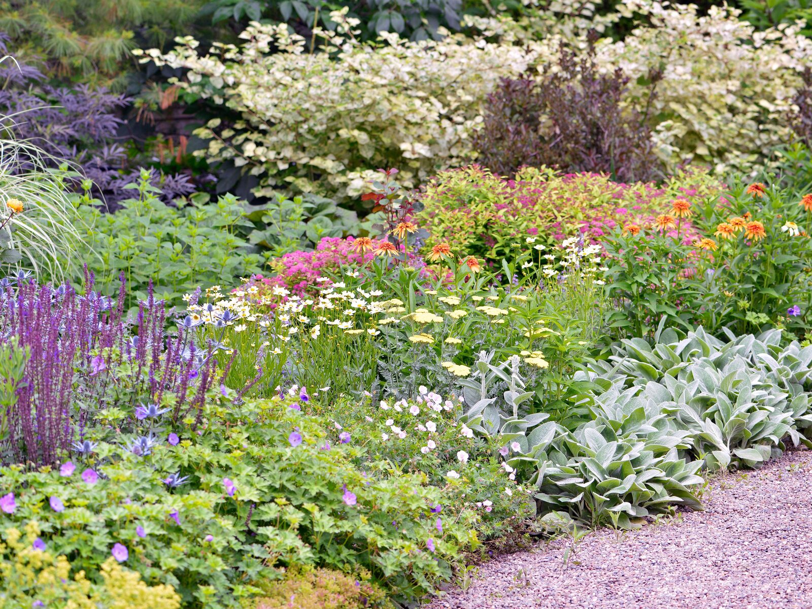 Colourful planted flower borders in a UK garden