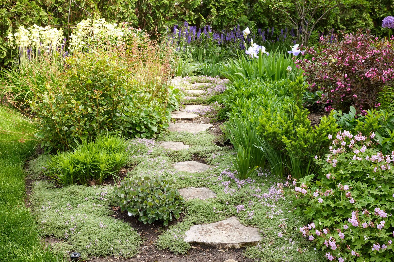 Clean garden path through a British garden